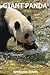 Giant Panda (Amazing Nature Childrens Books Book 4)