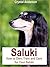 Saluki: How to Own, Train a...
