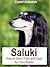 Saluki: How to Own, Train and Care for Your Saluki