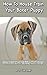 How To House Train Your Boxer Puppy: Successful House Training Made Easy!