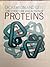 The Structure and Action of Proteins