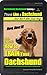 Dachshund, Dachshund Training A: Think Like a Dachshund... but don't bite your dog! | Learn EXACTLY How to Train Your Dachshund: Dachschund