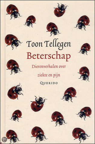 Beterschap