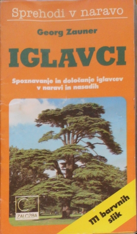 Iglavci