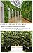 Guide to a Healthy Living Wall: Plant Care Guide to 20 Recommended Plants Plus Instructions on Creating Your Own Living Wall