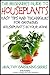 The Beginner’s Guide to Houseplants: Easy Tips and Techniques for Growing Houseplants in Your Home (Healthy Gardening Series Book 8)