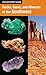 Rocks, Gems, and Minerals of the Southwest (Falcon Pocket Guides)