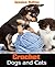 Crochet Dogs and Cats