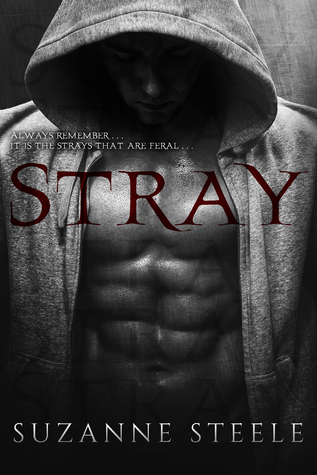 Stray (Kindle Edition)
