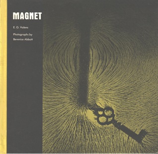 Magnet
