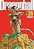 Dragon Ball perfect edition - Tome 20 (French Edition)
