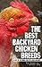 The Best Backyard Chicken B...