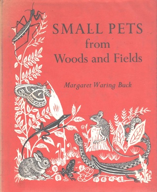 Small Pets from Woods and Fields (Hardcover)