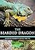 The Bearded Dragon