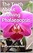 The Truth About Growing Phalaenopsis