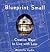 Blueprint Small: Creative Ways to Live with Less