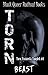 Torn