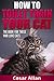 Cat Training: How to Toilet Train Your Cat (Cat Training, Cat Training in 10 Minutes, Toilet Training, Toilet Train Book, Toilet Training in Less than Day, Toilet Train a Cat, Cat Training Book)