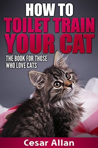 toilet training cats in less than a day