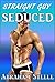 Straight Guy Seduced