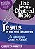 Jesus in the Old Testament: An Introduction: Genesis to Malachi (The Jesus Centred Bible Book 1)