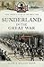 Sunderland in the Great War (Your Towns & Cities in the Great War)