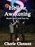 Hollow Awakening by Cherie Clement Hollow Awakening by Cherie Clement
