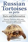 Russian Tortoise ...