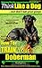 Doberman Pinscher, Doberman Pinscher Training AAA AKC: Think Like a Dog, but Don’t Eat Your Poop! | Breed Expert Doberman Pinscher Training Book: Here's EXACTLY How To TRAIN Your Doberman Pinscher