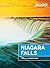 Moon Niagara Falls by Joel A. Dombrowski