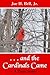 ... and the Cardinals Came by Joe H. Bell Jr.