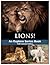 Lions Fun Facts Wonderful Pictures of Wild Animals Explore Series