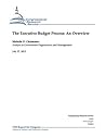 The Executive Budget Process: An Overview The Executive Budget Process: An Overview