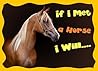 If I Met a Horse I Will...