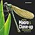 Digital Macro & Close-up Photography: Revised &Expanded Edition