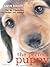 Perfect Puppy by Gwen Bailey