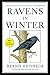 Ravens in Winter