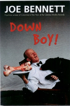 Down Boy (Paperback)