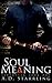 Soul Meaning (Seventeen, #1)