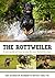 The Rottweiler: A vet's guide on how to care for your Rottweiler