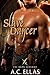 Slave Dancer (The Dark Servant, #27)