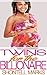 Twins for the Billionaire (BWWM Pregnancy Erotic Romance)