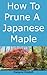 How To Prune A Japanese Maple