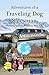 Adventures of a Traveling Dog Salesman by Joshua Snader
