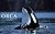 Orca of the World