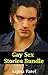 Gay Sex Stories Bundle