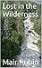 Lost in the Wilderness