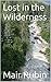 Lost in the Wilderness