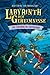 Labyrinth der Geheimnisse, Band 6 - Taucher im Teufelssee (German Edition)