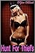 Hunt For Thief's - Threesome Romance Erotica
